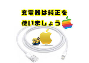 iPhone充電.jpg